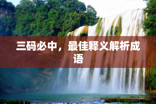 三码必中，最佳释义解析成语