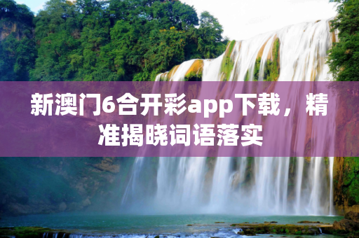新澳门6合开彩app下载，精准揭晓词语落实