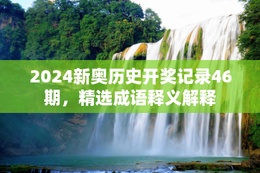 2024新奥历史开奖记录46期，精选成语释义解释