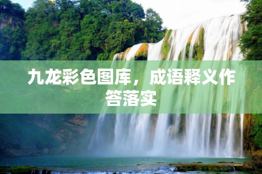九龙彩色图库，成语释义作答落实