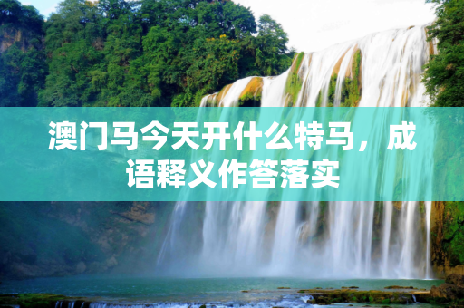 澳门马今天开什么特马，成语释义作答落实