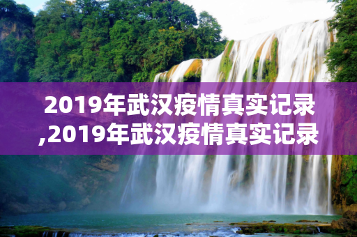 2019年武汉疫情真实记录,2019年武汉疫情真实记录