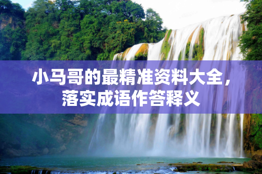 小马哥的最精准资料大全，落实成语作答释义