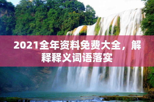 2021全年资料免费大全，解释释义词语落实