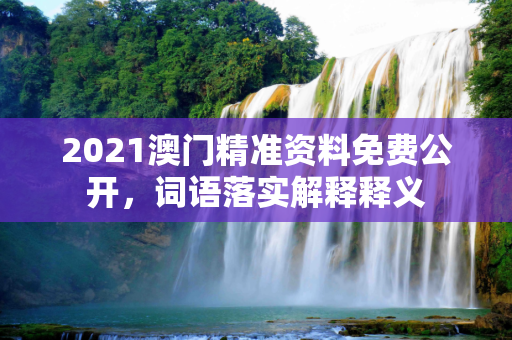 2021澳门精准资料免费公开，词语落实解释释义