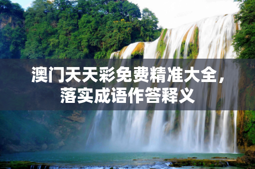 澳门天天彩免费精准大全，落实成语作答释义