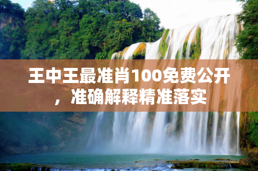 王中王最准肖100免费公开，准确解释精准落实