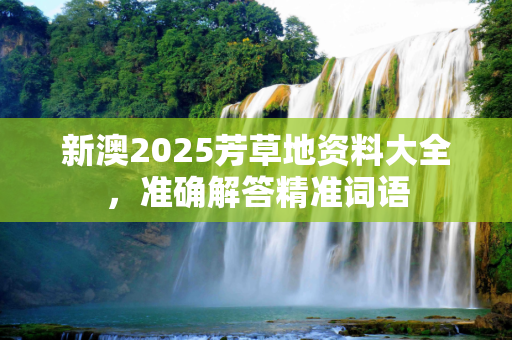 新澳2025芳草地资料大全，准确解答精准词语