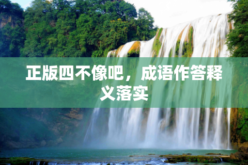 正版四不像吧，成语作答释义落实