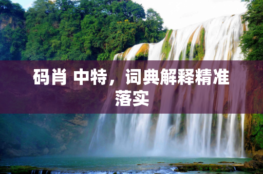 码肖 中特，词典解释精准落实