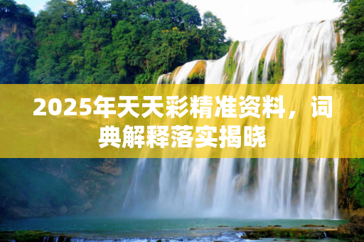 2025年天天彩精准资料，词典解释落实揭晓