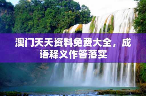 澳门天天资料免费大全，成语释义作答落实