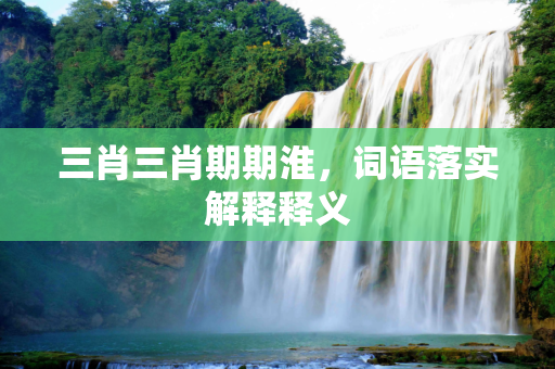 三肖三肖期期淮，词语落实解释释义