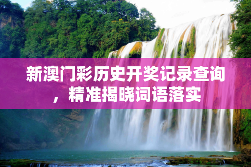 新澳门彩历史开奖记录查询，精准揭晓词语落实