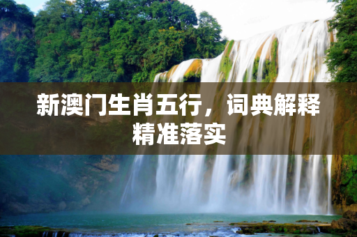 新澳门生肖五行，词典解释精准落实