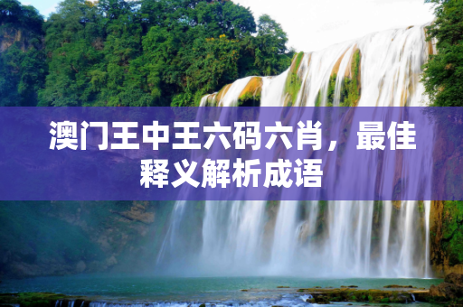 澳门王中王六码六肖，最佳释义解析成语