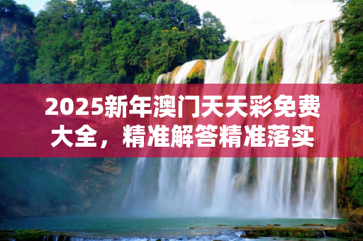 2025新年澳门天天彩免费大全，精准解答精准落实