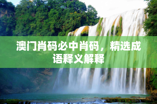 澳门肖码必中肖码，精选成语释义解释