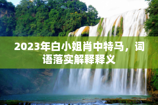 2023年白小姐肖中特马，词语落实解释释义