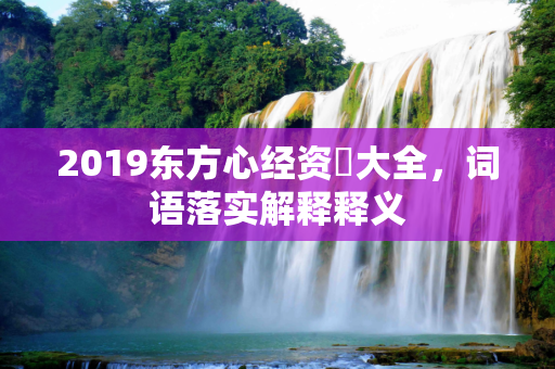 2019东方心经资枓大全，词语落实解释释义