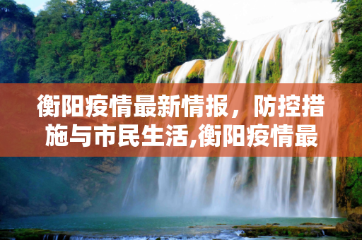 衡阳疫情最新情报，防控措施与市民生活,衡阳疫情最新情报