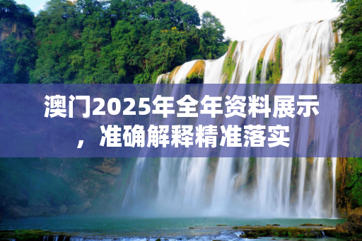 澳门2025年全年资料展示，准确解释精准落实
