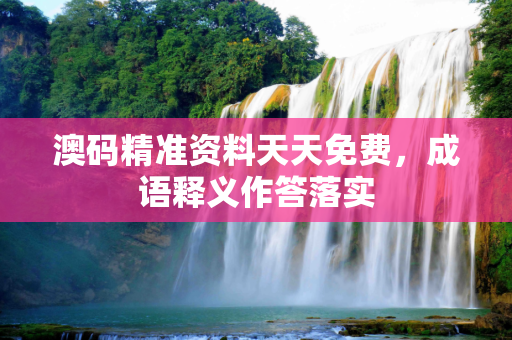 澳码精准资料天天免费，成语释义作答落实