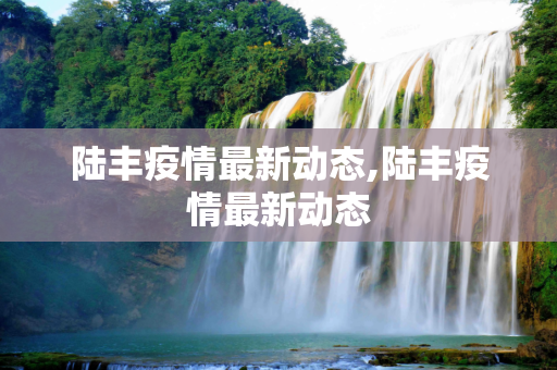 陆丰疫情最新动态,陆丰疫情最新动态