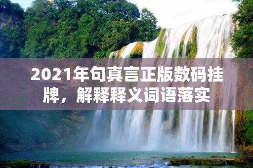 2021年句真言正版数码挂牌，解释释义词语落实