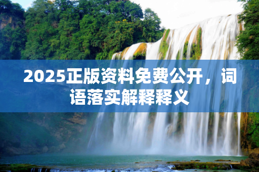 2025正版资料免费公开，词语落实解释释义