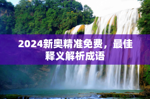 2024新奥精准免费，最佳释义解析成语