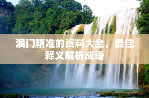 澳门精准的资料大全，最佳释义解析成语