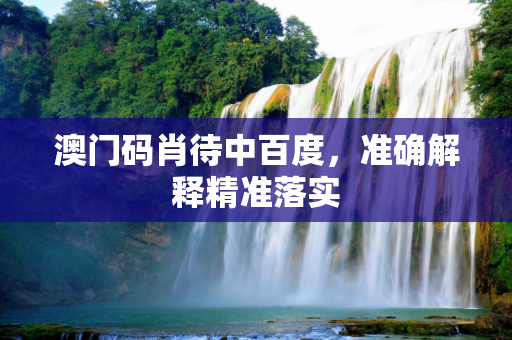 澳门码肖待中百度，准确解释精准落实