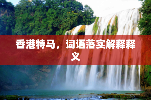 香港特马，词语落实解释释义