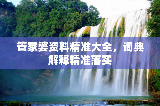 管家婆资料精准大全，词典解释精准落实