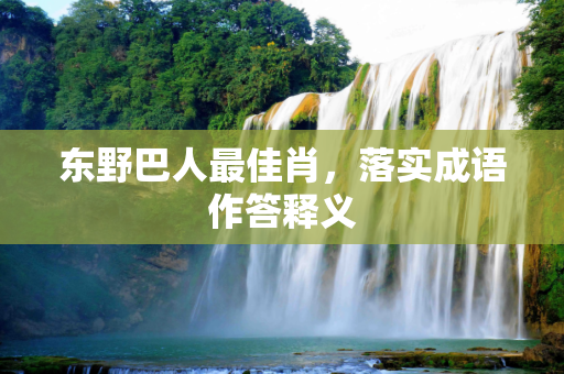 东野巴人最佳肖，落实成语作答释义
