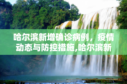 哈尔滨新增确诊病例，疫情动态与防控措施,哈尔滨新增确诊病例