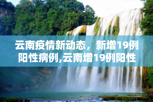 第1113页
