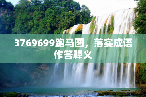 3769699跑马图，落实成语作答释义