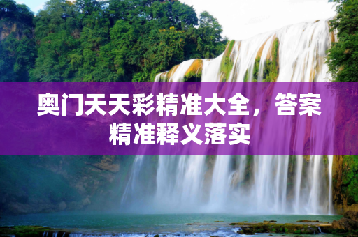 奥门天天彩精准大全，答案精准释义落实