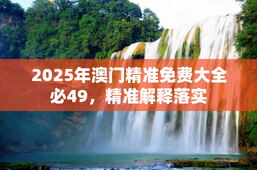 2025年澳门精准免费大全必49，精准解释落实