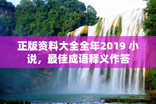 正版资料大全全年2019 小说，最佳成语释义作答