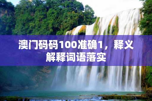 澳门码码100准确1，释义解释词语落实