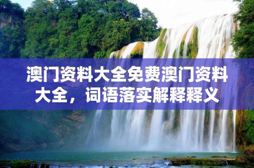 澳门资料大全免费澳门资料大全，词语落实解释释义
