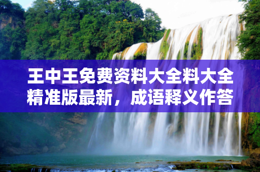 王中王免费资料大全料大全精准版最新，成语释义作答落实