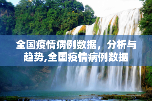 全国疫情病例数据，分析与趋势,全国疫情病例数据