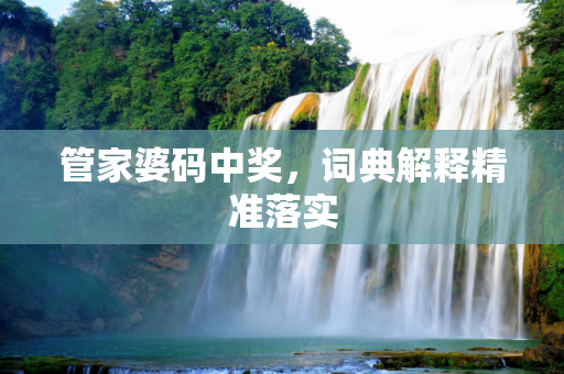 管家婆码中奖，词典解释精准落实