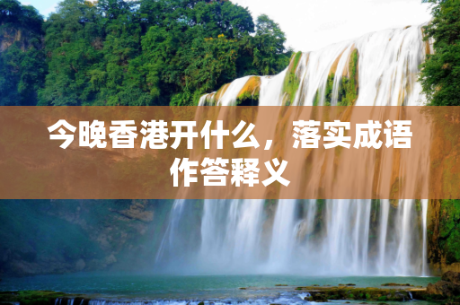 今晚香港开什么，落实成语作答释义