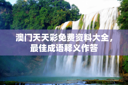 澳门天天彩免费资料大全，最佳成语释义作答