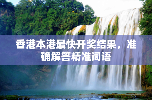 香港本港最快开奖结果，准确解答精准词语